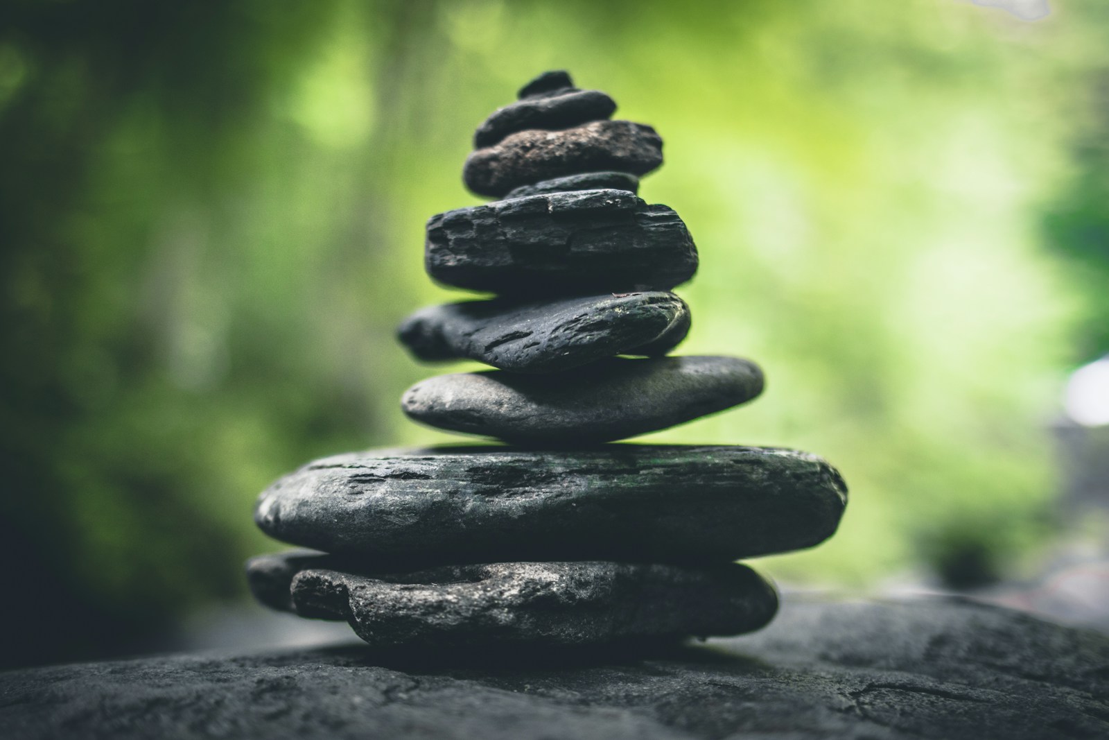 Inner Harmony: The Quiet Power Behind Sustainable Self-Improvement