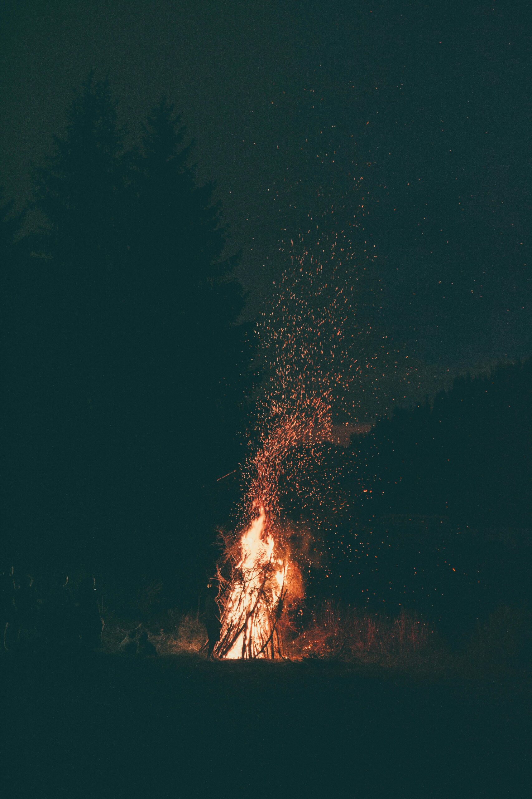 pexels-vladbagacian-1368388
