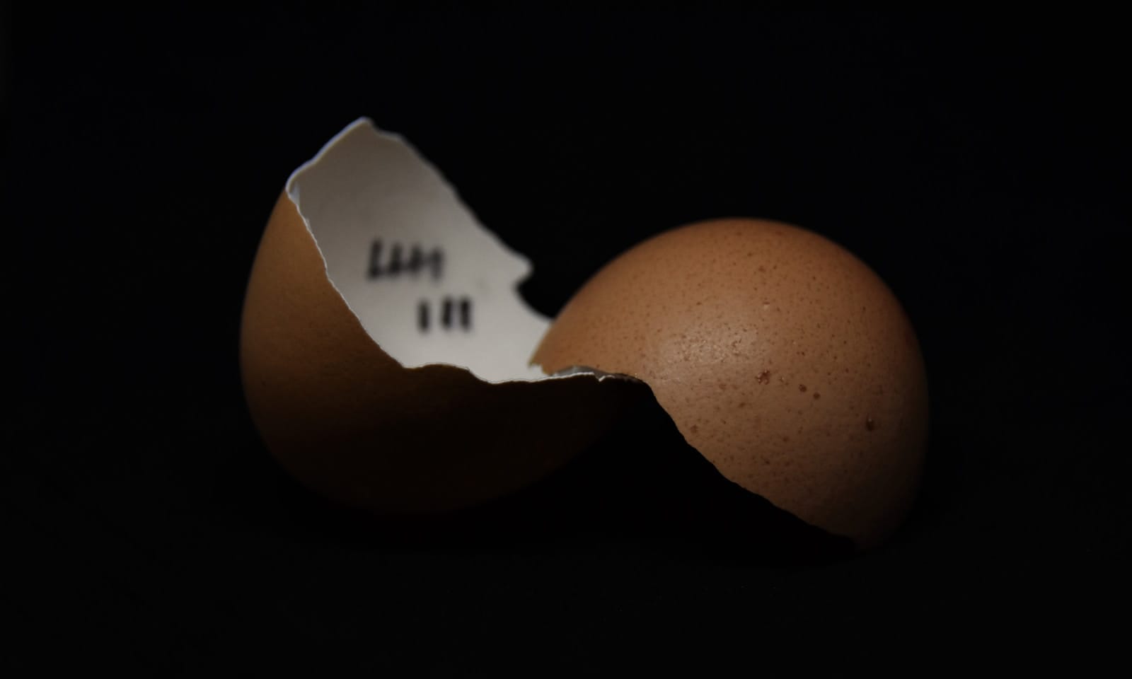 breaking free of limit beliefs and assumptions