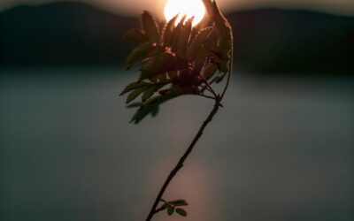 Unclarity Is the Path Forward: Why Clarity Comes After the Leap