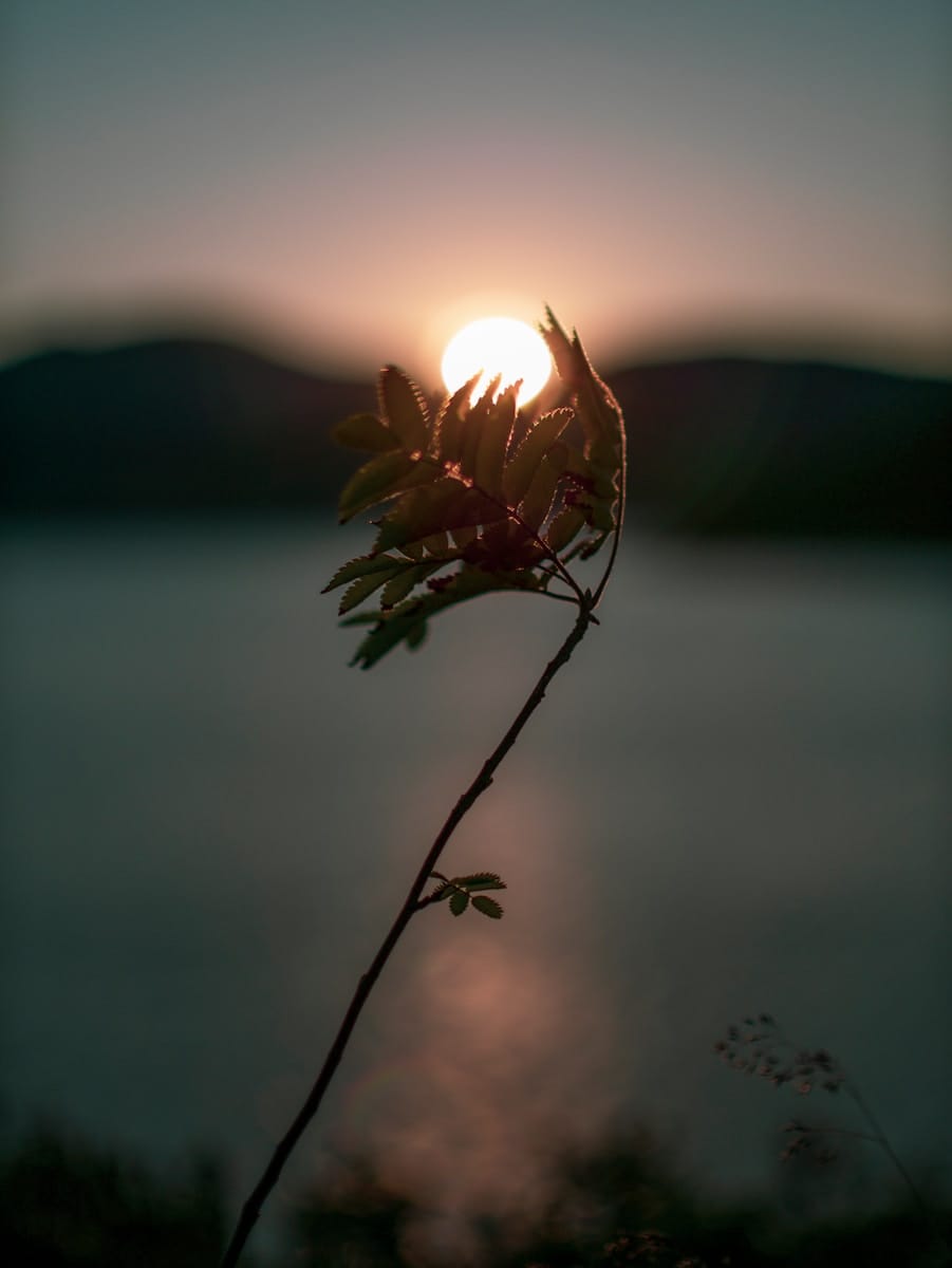 Clarity